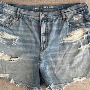 American Eagle Outfitters Light Blue Denim Shorts with Button Fly